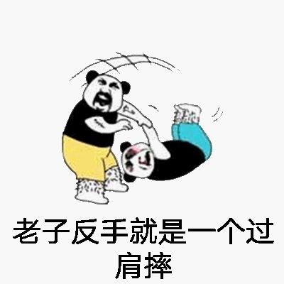 老子反手就是一个过肩摔